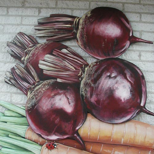 [beetroots]