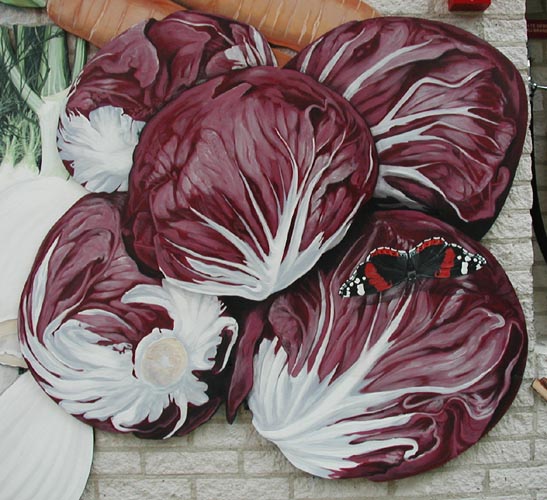 [red cabbages]